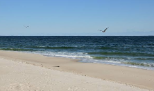Beach at Wild Dunes Resort, Isle of Palms